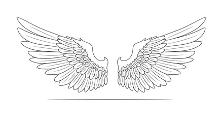 Obraz premium Elegant symmetrical pair of angel wings detailed line drawing isolated on transparent background perfect for artistic projects