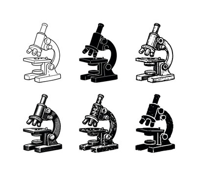 Compound microscope with adjustable focus knobs used for observing cells and microorganisms | Create ONE image containing EXACTLY