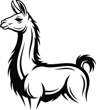 Black and white illustration of llama in profile standing alone