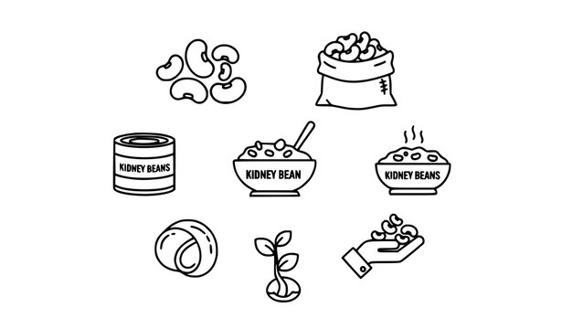 Kidney Bean Line Icons Collection with Food Agriculture Seed and Healthy Nutrition Symbols Vector