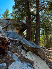 Fototapeta premium San Bernardino National Forest