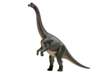 Isolated realistic Brachiosaurus dinosaur standing tall, a majestic long-necked prehistoric creature. © Oisin