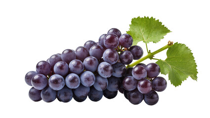 Fototapeta premium Dark purple grapes with green leaves, isolated on transparent background