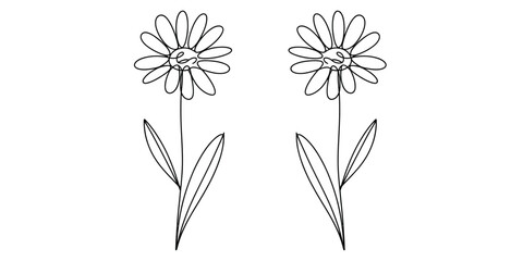 Two identical hand drawn daisy flowers with slender stems and leaves depicted in black line art © Bisawjit