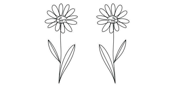 Two identical hand drawn daisy flowers with slender stems and leaves depicted in black line art