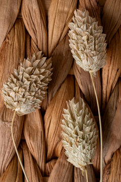 Natural arrangement with woven basket texture