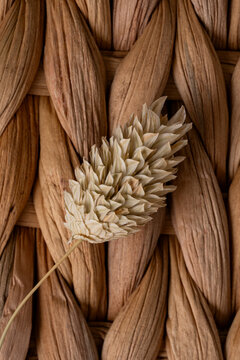 Wicker texture with dried flower and woven detail