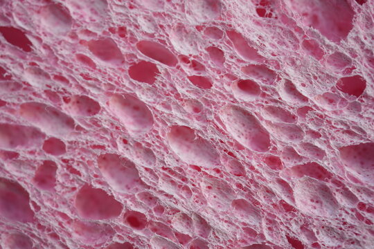 pink sponge texture close up, pink abstract sponge texture as background photo on top	
