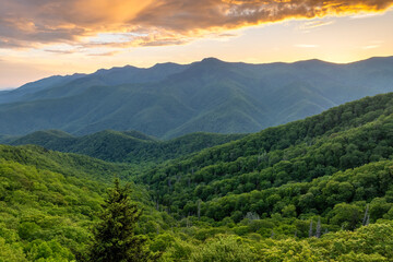 Fototapeta premium Mount Mitchell State Park with summer woods of Appalachian mountains with green canopies in colorful forest at sunset. Wild nature in summertime season