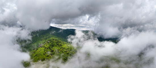 Fototapeta premium Summer forest on Appalachian mountain hills in North Carolina. Summertime landscape of beautiful nature in rainy humid weather