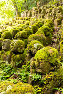 The stone statues covered in moss and plants at Otagi Nenbutsu-ji Temple in Arashiyama, Kyoto, Japan