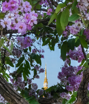 Buddha spire of Royal Palace in Phnom Penh Cambodia framed in purple flowers