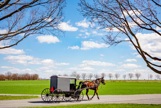Amish horse and buggy on the road in scenic Lancaster, Pennsylvania