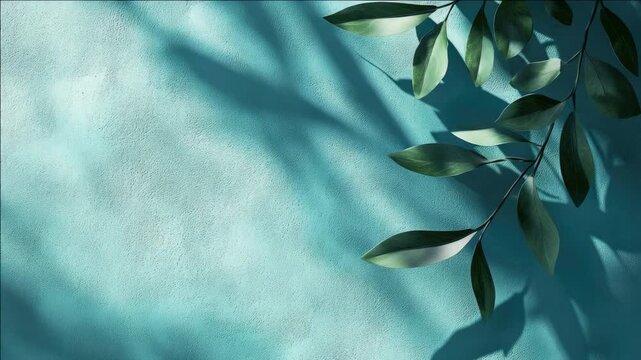 Blue wall with leafy branch casting shadows and creating a textured visual effect.