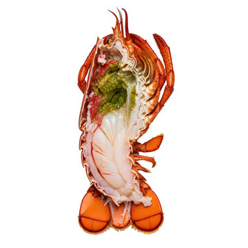A top-down view of a halved raw lobster showing the internal meat and tomalley isolated on a black background.