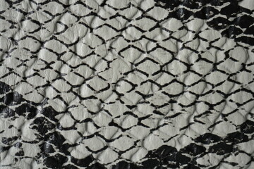 Naklejka premium macro texture of snake skin with detailed natural pattern. Close-up of reptile scales showing organic structure in grey and black tones. Exotic and elegant background perfect for fashion design, luxur