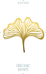 Abstract Golden Ginkgo Leaf Organic Shape Vector