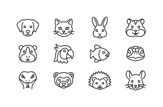 Dog head, cat head, rabbit head, hamster head, guinea pig head, parrot head, fish head, turtle head, snake head, ferret head,