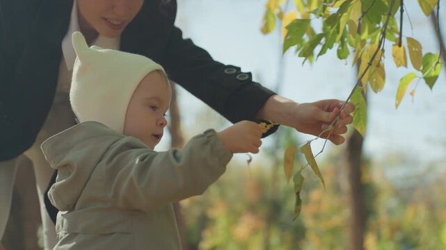 Child touching leaf with parent in sunlit park, small fingers feeling texture, gentle guidance, knit hat and warm jacket, curious expression, learning through nature, family warmth