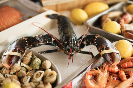 Fresh whole lobster with seafood assortment and lemons on display