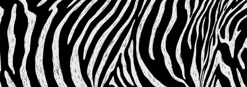 Close-up of Zebra Pattern on Black Background for Wildlife and Animal Texture Concepts