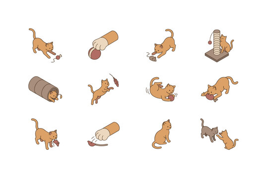 Cat play activities including chasing toy, batting ball, pouncing mouse, scratching post, hiding in tunnel, jumping for feather,