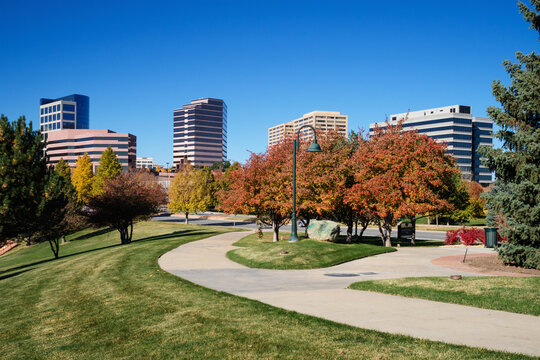 Autumn Trees in Park with Office Buildings Denver Tech Center Colorado