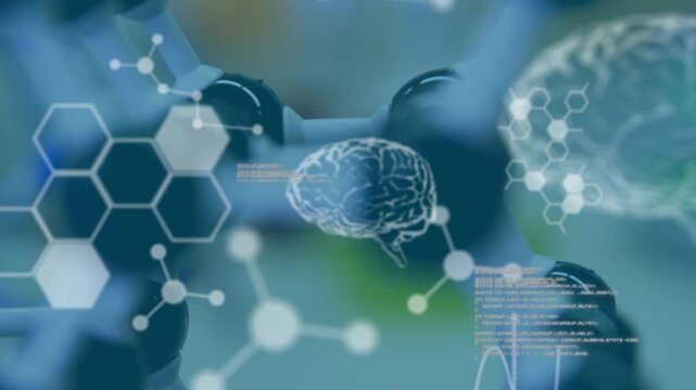 Animation of data processing over models in lab