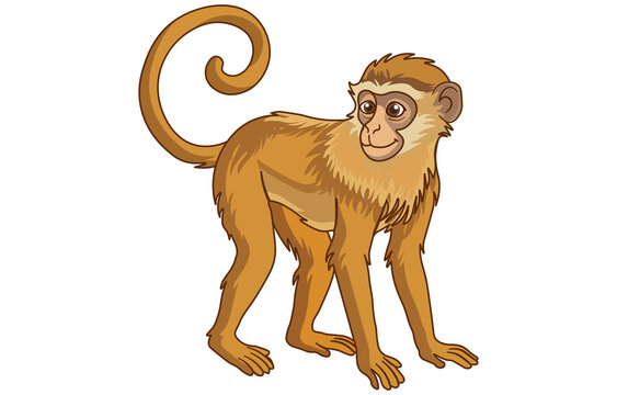 Isolated monkey, cute animal on a white background, vector illustration. Suitable for textiles, T-shirts, children's books, ceramics, nursery decor, and safari-style designs.