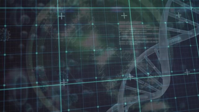 Animation of numbers floating and grid network over dna stricture spinning and covid-19 cells