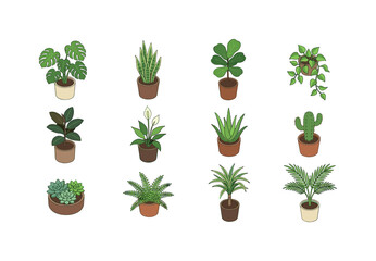 Fototapeta premium Collection of twelve popular houseplants in isometric illustration style