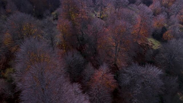 Aerial view from a drone of the "Wall of the Navarrese" in the autumn landscape of the Sierra de Entzia. Alava. Basque Country. Spain. Europe