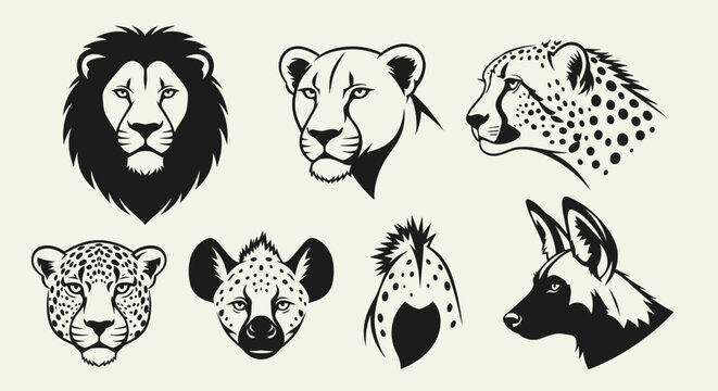 Animal head illustration collection featuring lions leopards cheetahs and big cats.