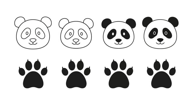 Panda Portraits And Paw Prints Close Up.
