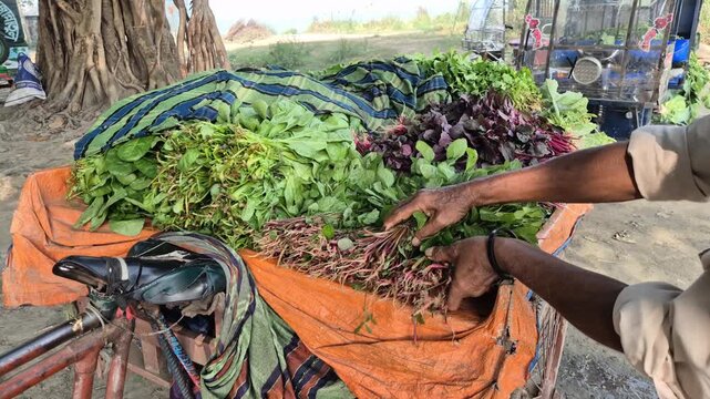 Street Vendor Organizing Fresh Leafy Vegetables on Custom Rickshaw Van