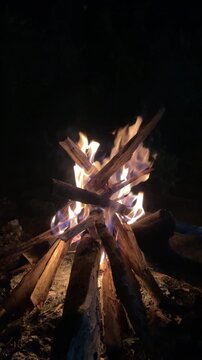 Campfire Burning Wooden Logs in Dark Night