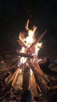 Campfire Burning Wooden Logs in Dark Night
