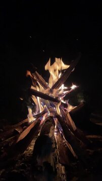 Campfire Burning Wooden Logs in Dark Night