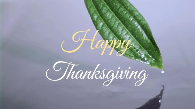 Animation of happy thanksgiving text banner against close up of a water drop falling of a leaf