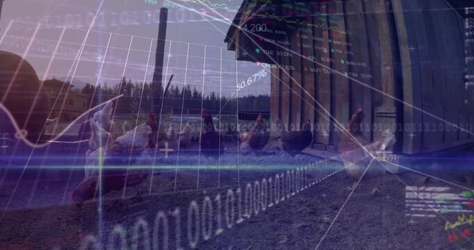 Chickens pecking gravel before coop, featuring animated illustration with finance data overlays