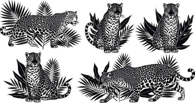 Set of Leopard and Jaguar Silhouette Vector Illustrations Featuring Wild Cats Walking and Sitting Among Tropical Palm Leaves for Jungle Safari and Nature Design