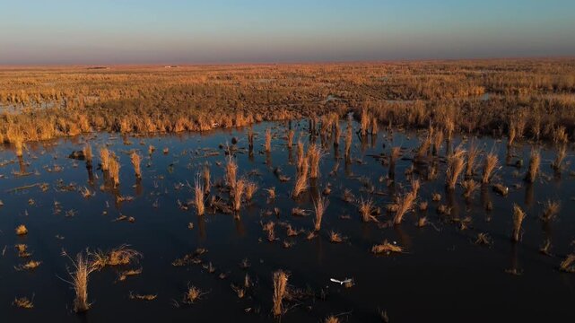 The Al-Jubaysh Marshes, located in Dhi Qar, Iraq, are part of the Mesopotamian marshlands, one of the world's largest wetland ecosystems. Known for their rich biodiversity, these marshes are home to u