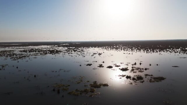 The Al-Jubaysh Marshes, located in Dhi Qar, Iraq, are part of the Mesopotamian marshlands, one of the world's largest wetland ecosystems. Known for their rich biodiversity, these marshes are home to u