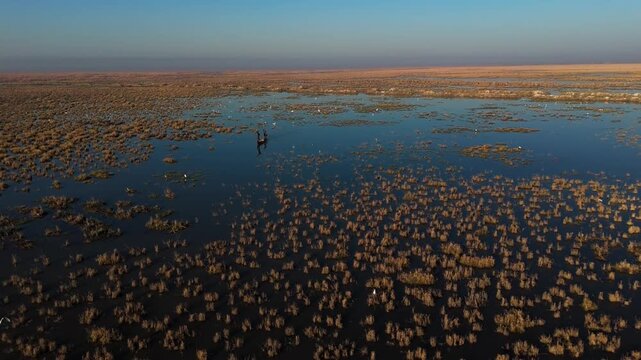 The Al-Jubaysh Marshes, located in Dhi Qar, Iraq, are part of the Mesopotamian marshlands, one of the world's largest wetland ecosystems. Known for their rich biodiversity, these marshes are home to u