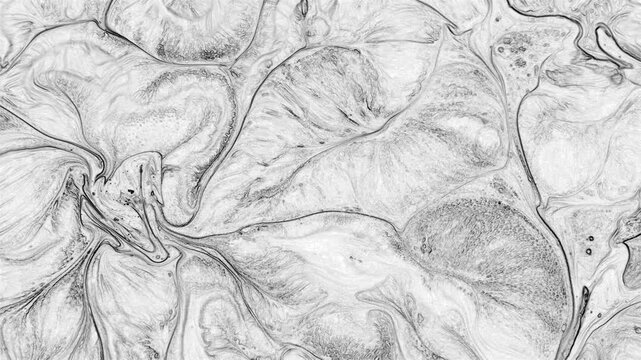 Organic Cellular Grey Paint Texture Abstract
