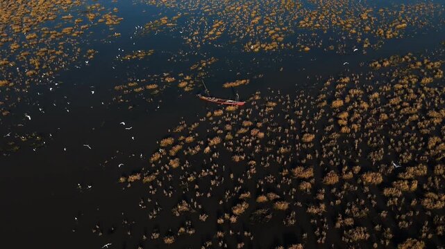 The Al-Jubaysh Marshes, located in Dhi Qar, Iraq, are part of the Mesopotamian marshlands, one of the world's largest wetland ecosystems. Known for their rich biodiversity, these marshes are home to u