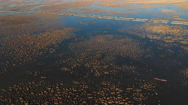 The Al-Jubaysh Marshes, located in Dhi Qar, Iraq, are part of the Mesopotamian marshlands, one of the world's largest wetland ecosystems. Known for their rich biodiversity, these marshes are home to u
