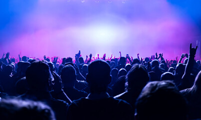 crowd of people dancing at concert