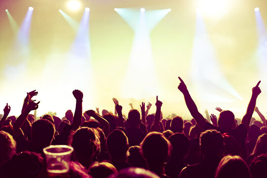 crowd of people dancing at concert