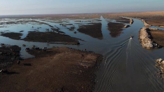 The Al-Jubaysh Marshes, located in Dhi Qar, Iraq, are part of the Mesopotamian marshlands, one of the world's largest wetland ecosystems. Known for their rich biodiversity, these marshes are home to u